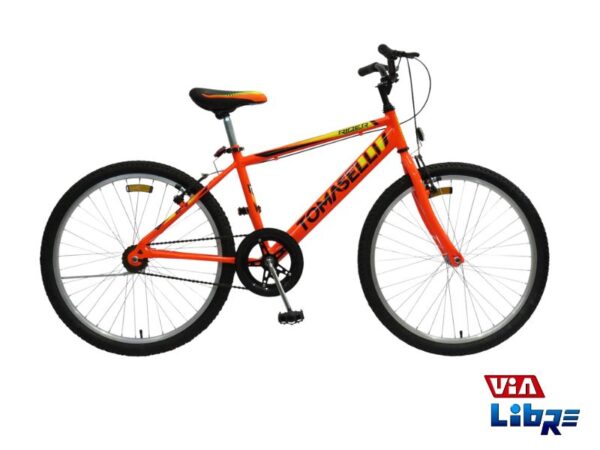 Bicicleta tomaselli rodado 24 naranja.