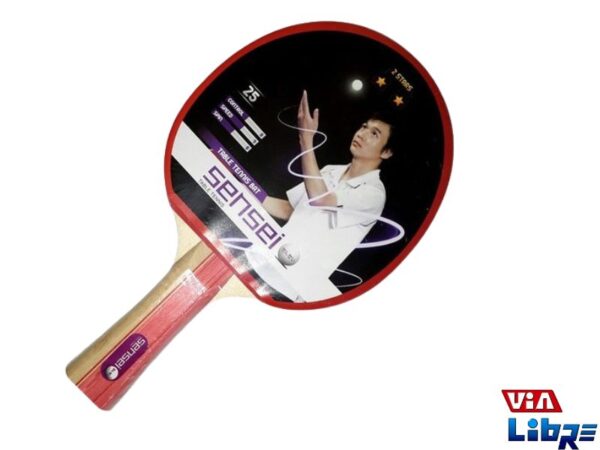 Paleta de Ping Pong Dribling Sensei 2 Stars