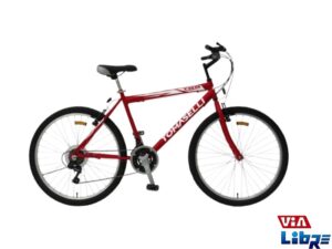 Bicicleta  Mountain Bike tomaselli Rodado 26 21 velocidades