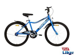 Bicicleta Rider R24